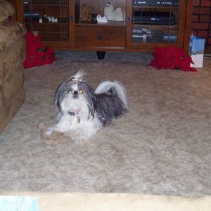 Meet your Posher, Karen